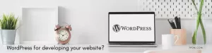 Read more about the article Should you choose WordPress for developing your website? Is it a good idea?