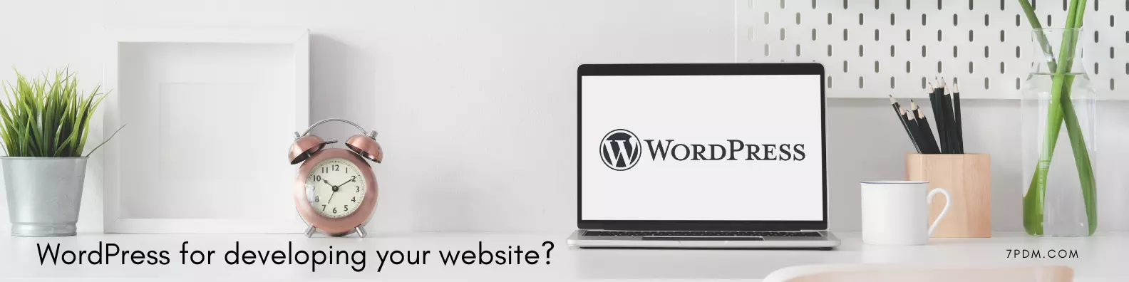 You are currently viewing Should you choose WordPress for developing your website? Is it a good idea?